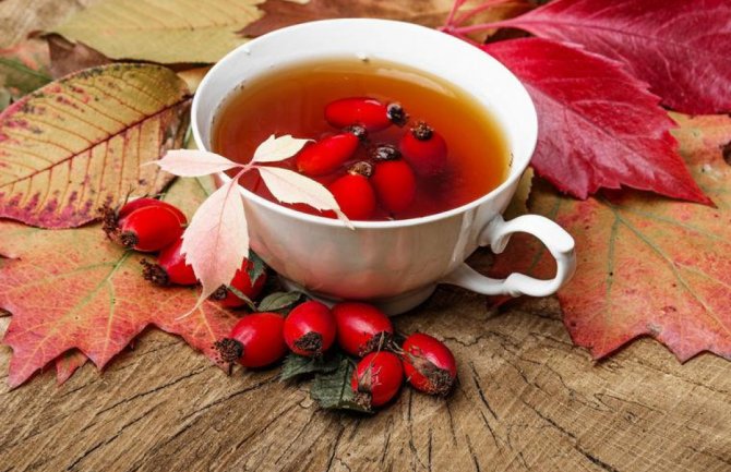 Šipurak ima 50 puta više vitamina C od limuna: Kako pravilno skuvati čaj?