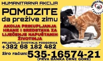 Humanitarna akcija za pomoć napuštenim životinjama da prežive zimu