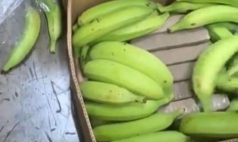  Kolumbijska policija u bananama pronašla 2,6 tona kokaina, bio namijenjen Balkancima