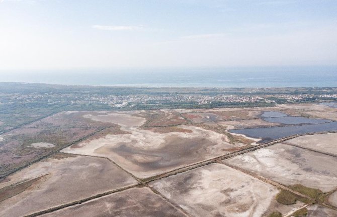 Obnova močvara ključna za prevazilaženje klimatske krize  