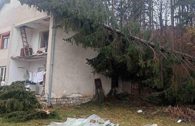 Mojkovac: Zbog obilnih padavina i jakog vjetra obrušilo se drvo na kuću