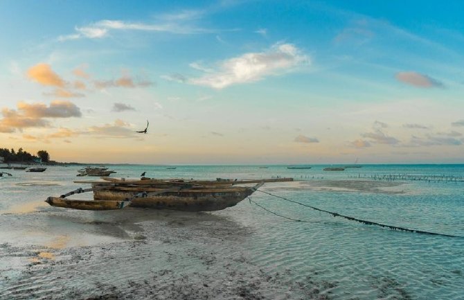 Od trovanja mesom kornjače umrlo osmoro djece na Zanzibaru