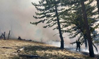 Vatra zahvatila NP Durmitor: Vatrogasci i mještani se treći dan bore protiv požara u Stupskom polju