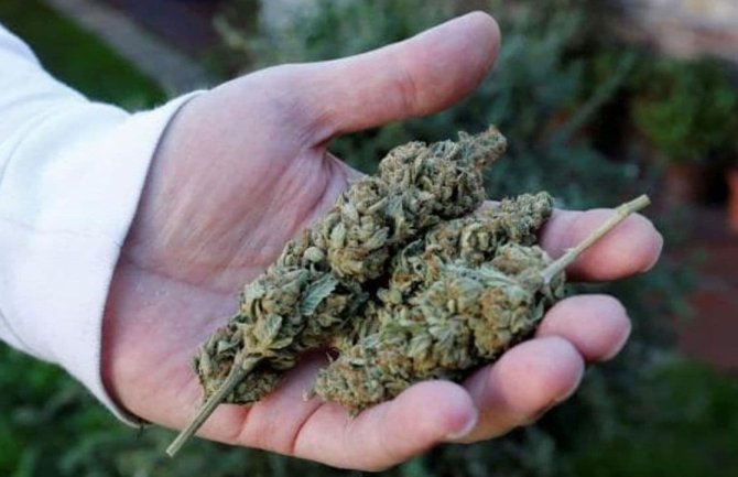 Na Kosovu zaplijenjena tona marihuane