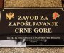 Više NVO: ZZCG urušava oblast profesionalne rehabilitacije i zapošljavanje osoba sa invaliditetom