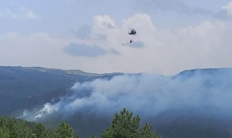 Blečić: Kiša ugasila sve požare na teritoriji Podgorice