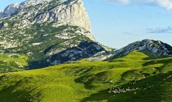 Raniji otkup mesa bio bi dobar potez, turisti vole naše proizvode