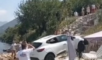 U Kostanjici reno se survao na plažu punu kupača