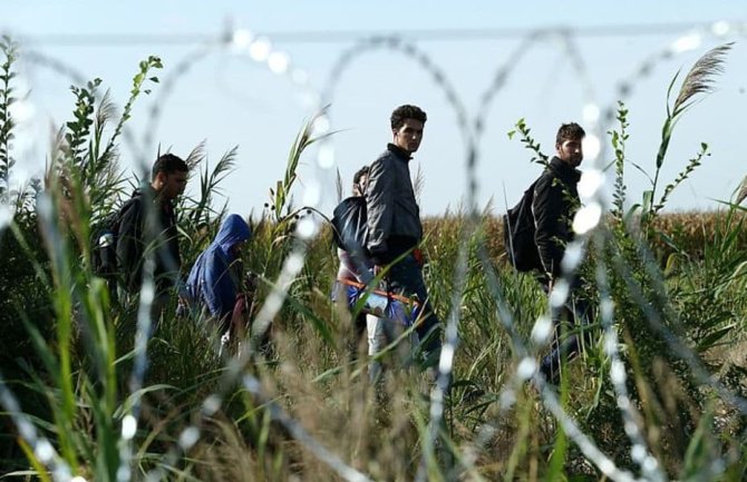 Poljska odobrila prijedlog zakona koji dopušta upotrebu oružja na granici s Bjelorusijom