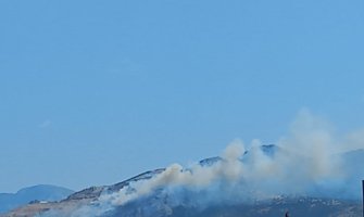 Aktivna dva veća šumska požara na Radovču i Medunu, vjetar otežava akcije gašenja