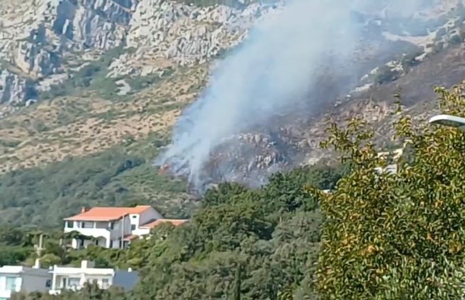 Volonteri lokalizovali požar na Paštrovačkoj gori