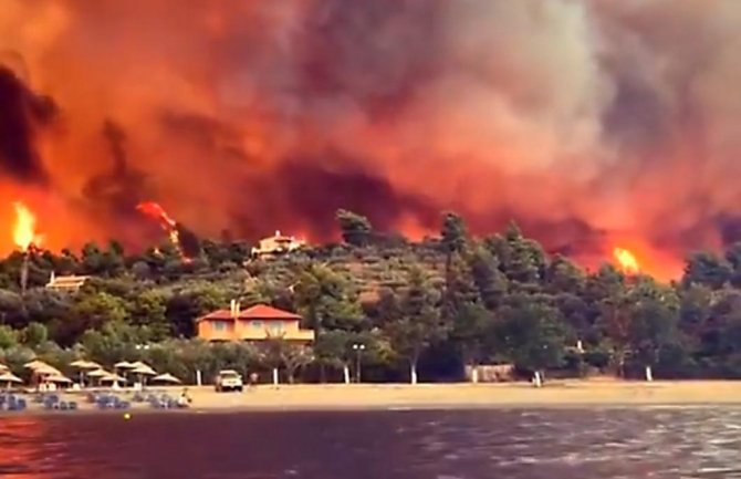 Profesor uhapšen zbog podmetanja požara kod Atine