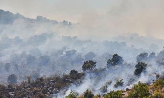 Lokalizovan požar na Dajbabskoj gori