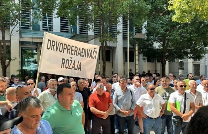 Drvoprerađivači protestuju ispred Vlade