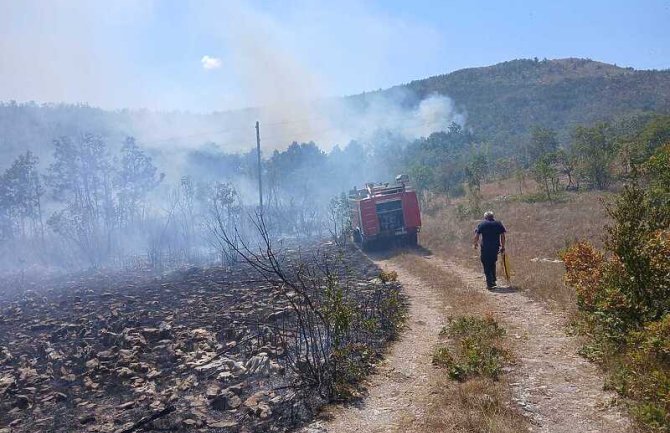 Požari u selima kod Bileće i dalje aktivni: Vatrogasci cijelu noć gasili vatru, trojica ih povrijeđena