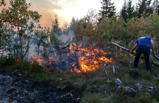 Požar u Prošćenskim planinama u Mojkovcu pod kontrolom, gori i u NP Biogradska gora