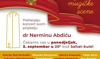 Legende crnogorske muzičke scene organizuju koncert podrške Nerminu Abdiću